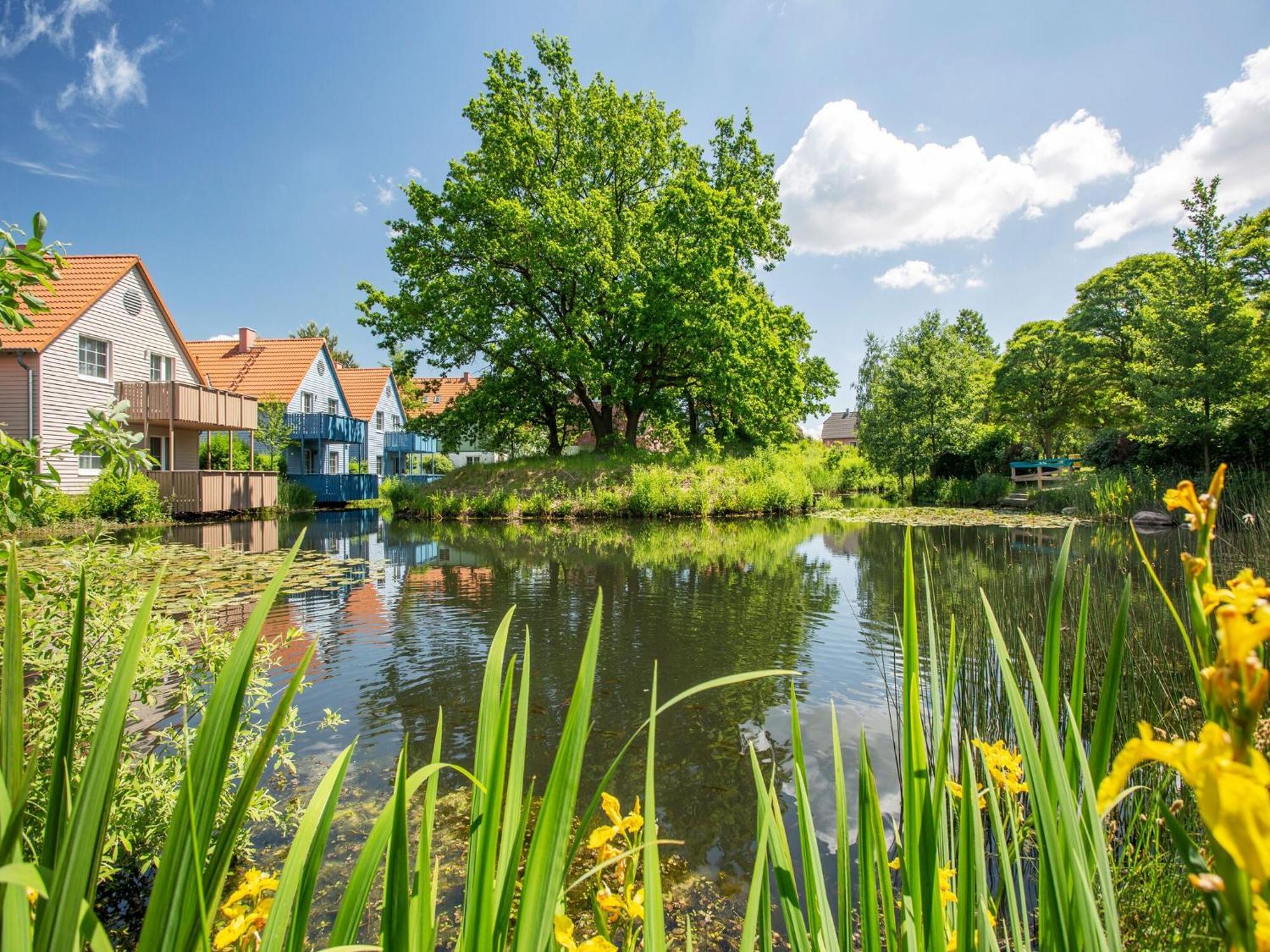 Holiday Complex Beech Resort Fleesensee G Hren Lebbin Göhren-Lebbin Exteriör bild