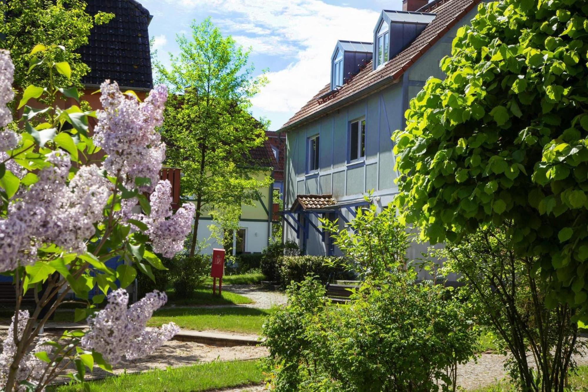Holiday Complex Beech Resort Fleesensee G Hren Lebbin Göhren-Lebbin Exteriör bild